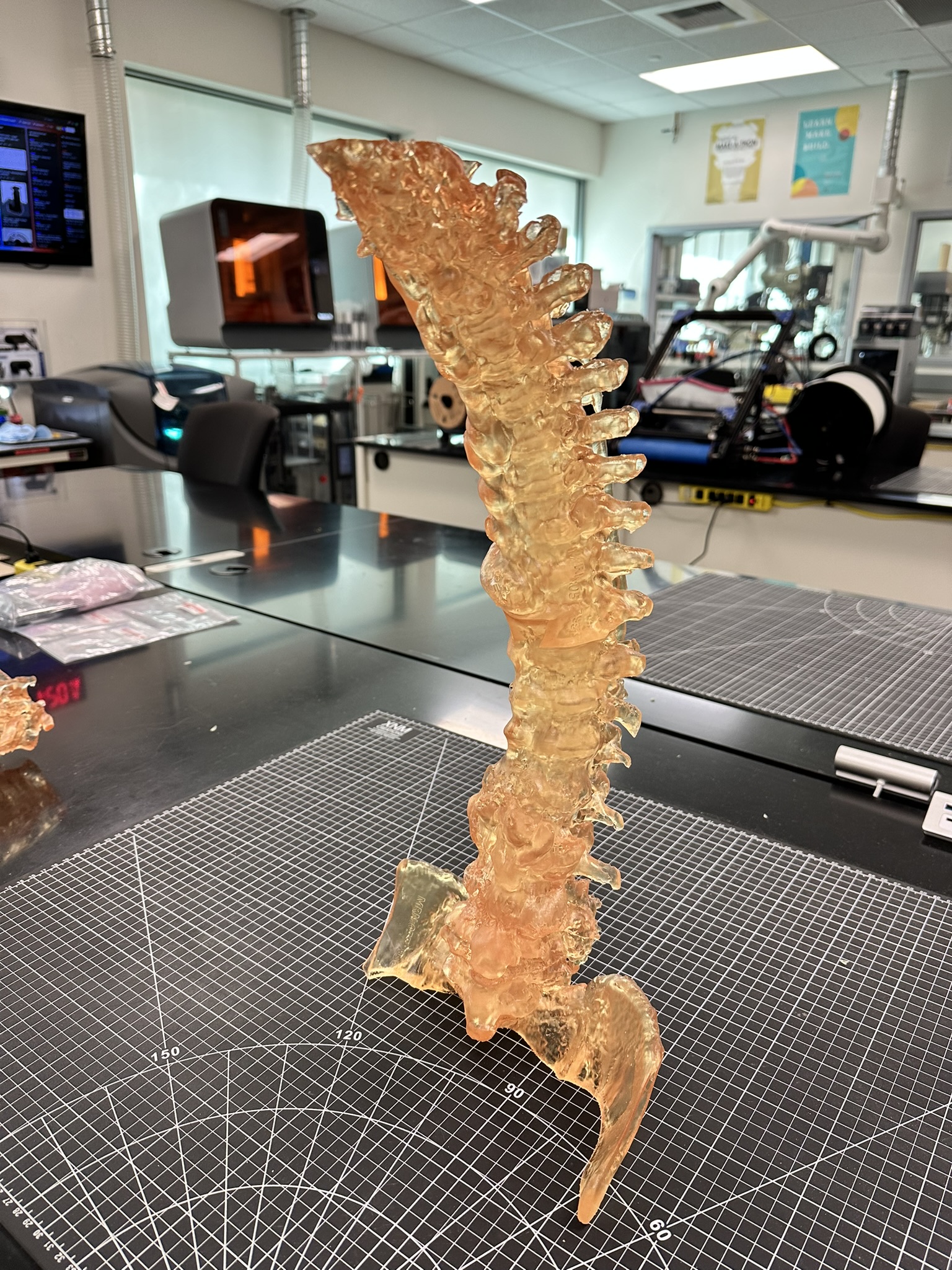 Printed Spine