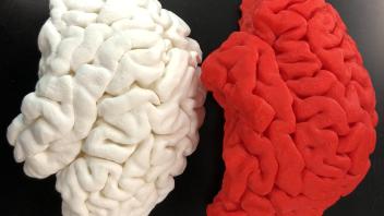 Printed Brains