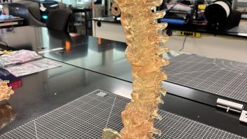 Printed Spine