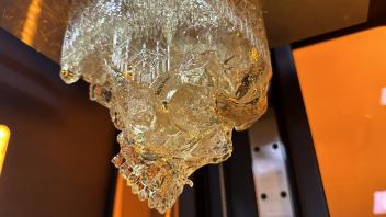 Printed Human Skull